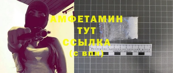 Альфа ПВП Аркадак