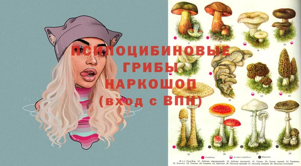 экстази Алексеевка