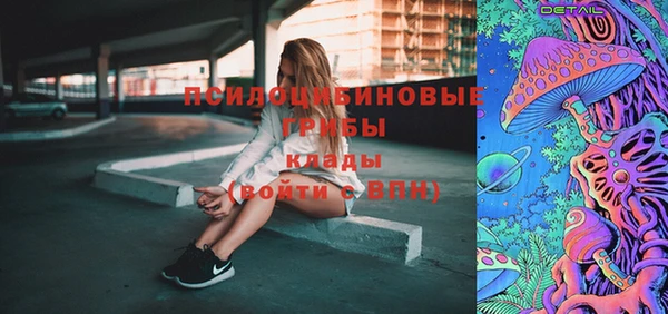 mdpv Арсеньев
