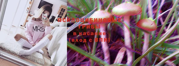 ECSTASY Баксан