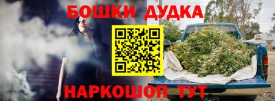 индика Нальчик