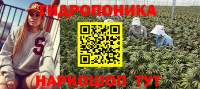 бошки Моздок