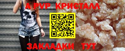 индика Нальчик