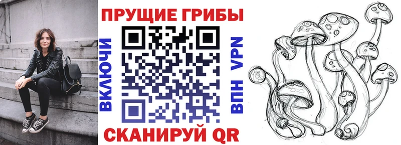 наркотики  Изобильный  Галлюциногенные грибы Cubensis 