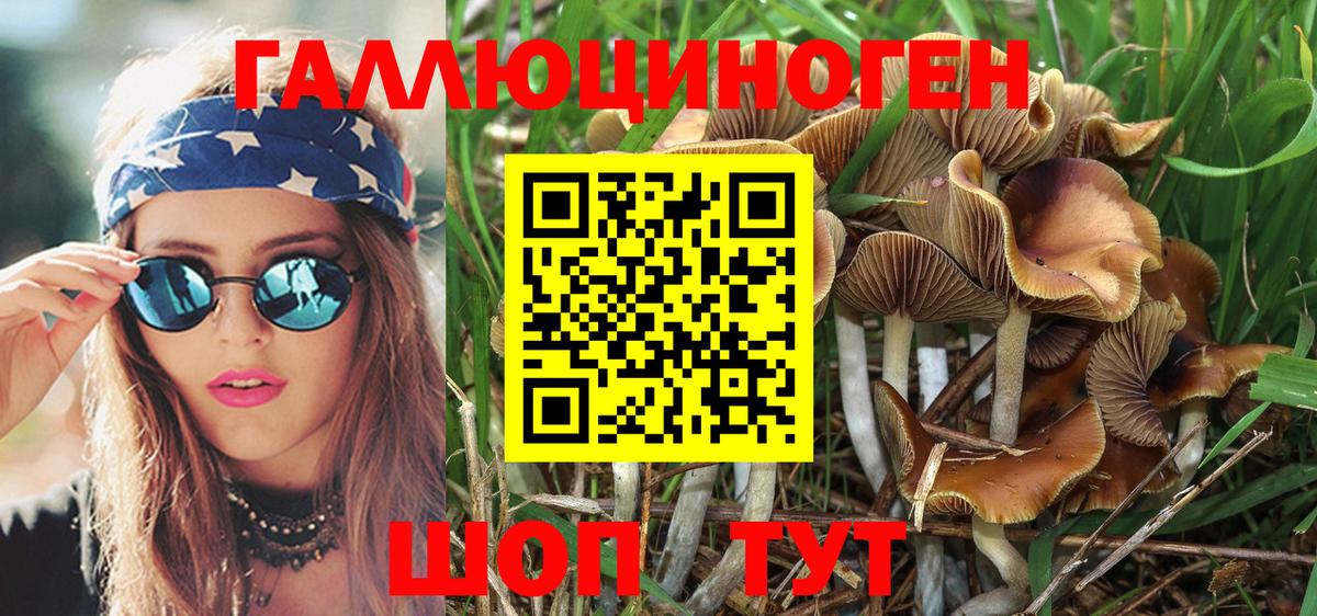 Галлюциногенные грибы Psilocybe  Вход с VPN  Изобильный 
